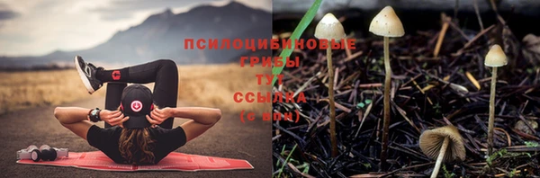 не бодяженный Инсар