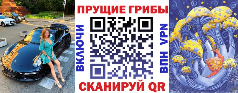 Псилоцибиновые грибы MAGIC MUSHROOMS где можно купить наркотик кракен ссылки Камышин