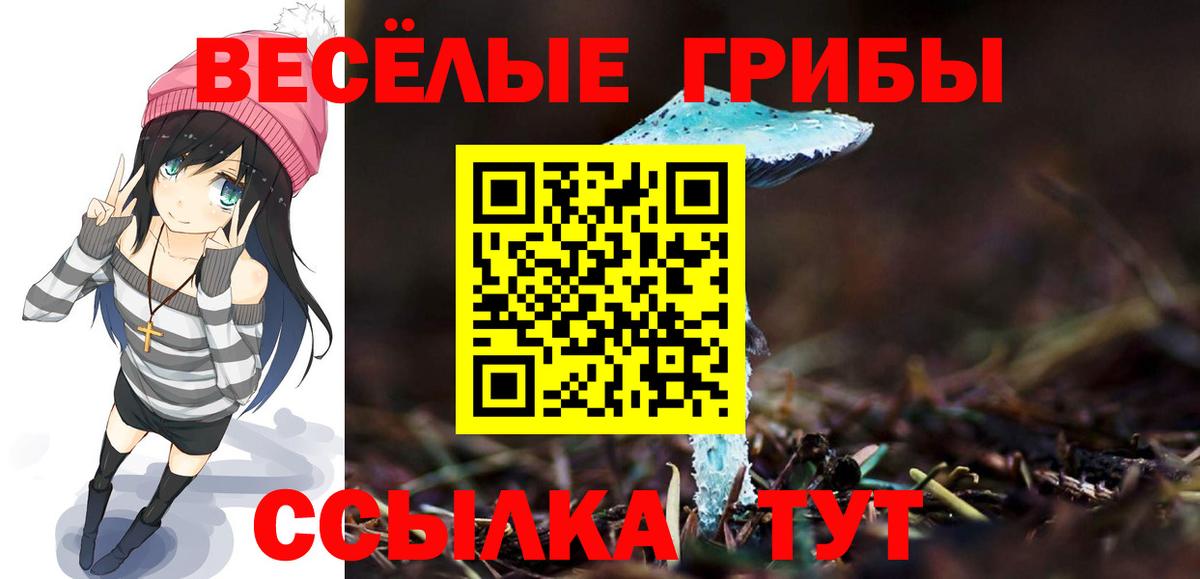 Галлюциногенные грибы мухоморы  Вход с VPN  Камышин  купить закладку  Псилоцибиновые грибы Magic Shrooms 