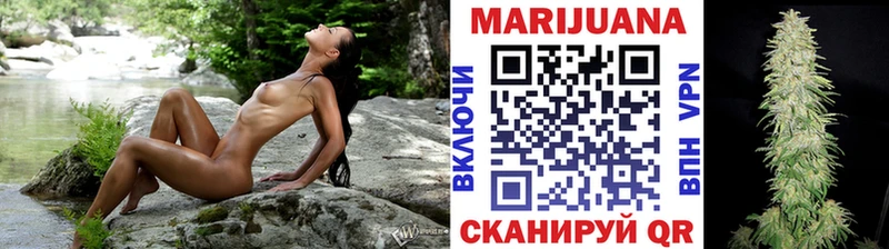 Бошки Шишки конопля  Камышин 